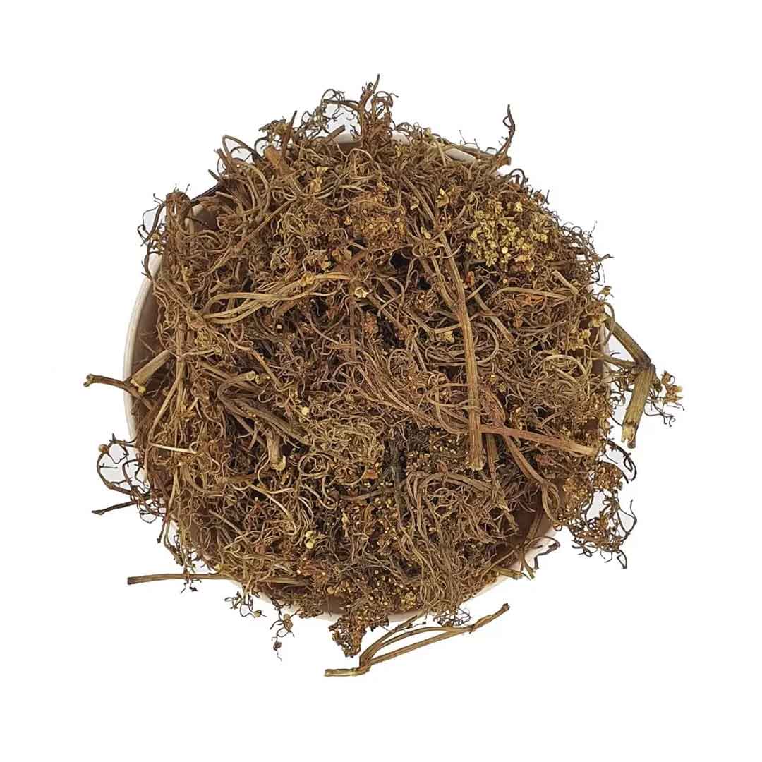 Dried Elderflower – Whole Sambucus Nigra Flowers