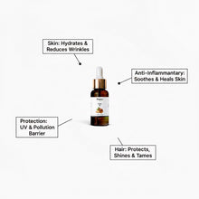Argan Oil – Regro by Rayhana 20 ML