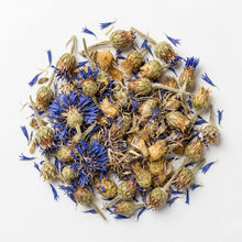 Cornflower whole herb (Centaurea cyanus) Bachelor's button قنطريون عنبري