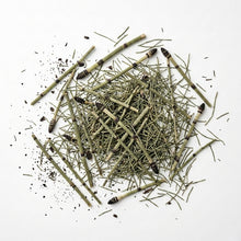 Premium Dried Horsetail Herb – Field Horsetail Tea