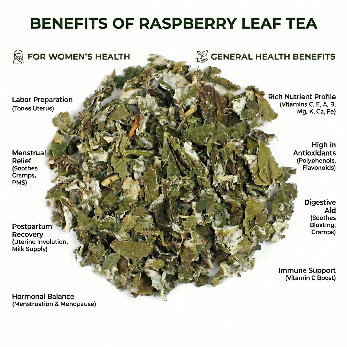 Raspberry Leaf – Dried Rubus Idaeus Leaves
