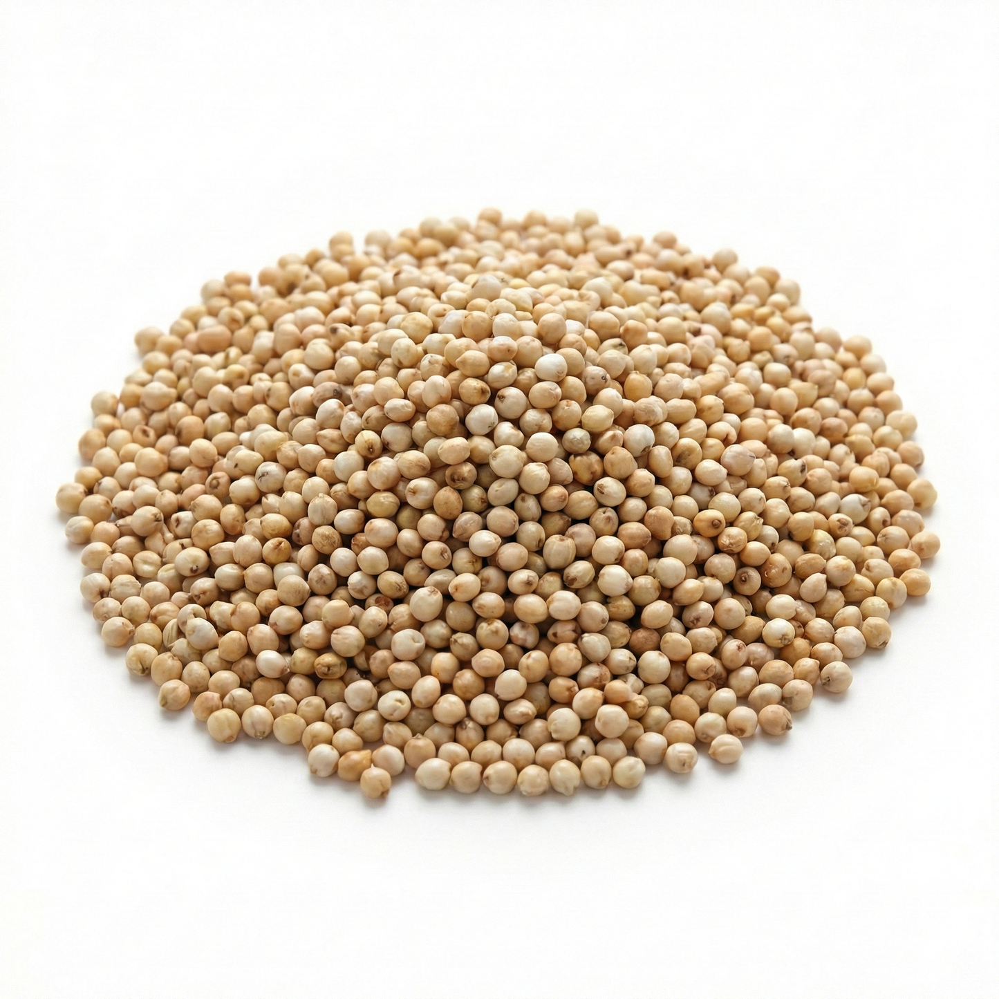 Premium Whole Grain Sorghum Seeds ~ ذرة رفيعة