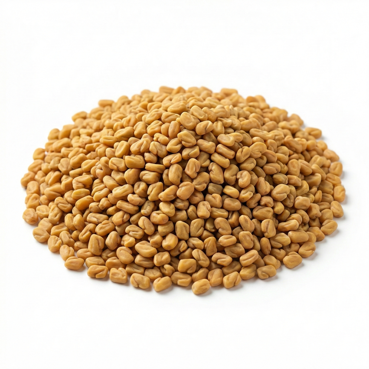 Premium Whole Fenugreek Seeds ~ حلبة