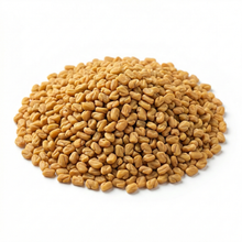 Premium Whole Fenugreek Seeds ~ حلبة