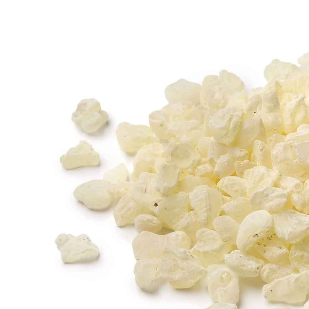 Chios Mastic Gum – Large Tears (Natural Mastiha Resin)
