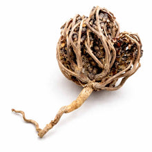 Chasteberry Whole Herb Flower (Vitex Agnus-Castus) - Chaste Tree Berry كف مريم